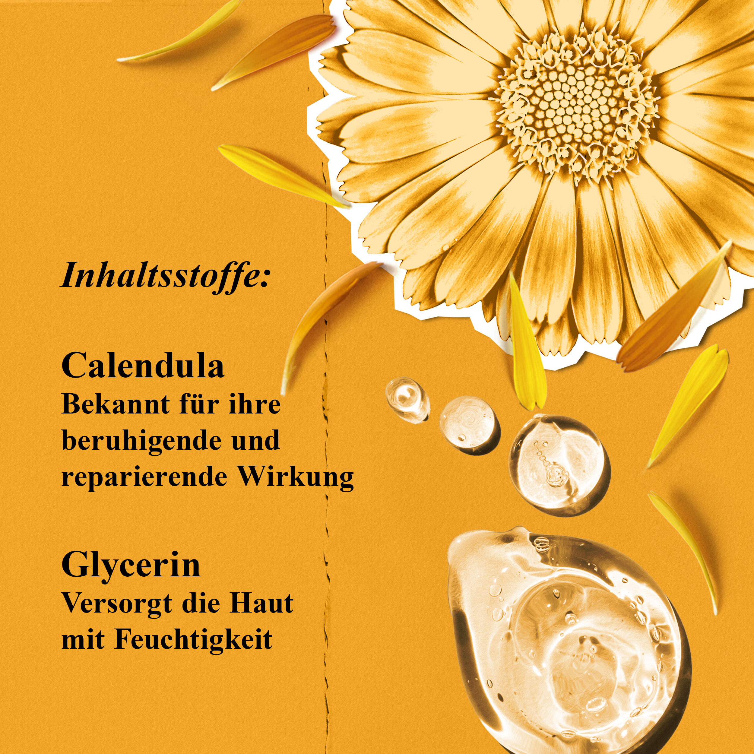 Inhaltsstoffe des Kiehl's Calendula Deep Cleaning Foaming Face Wash – Calendula & Glycerin