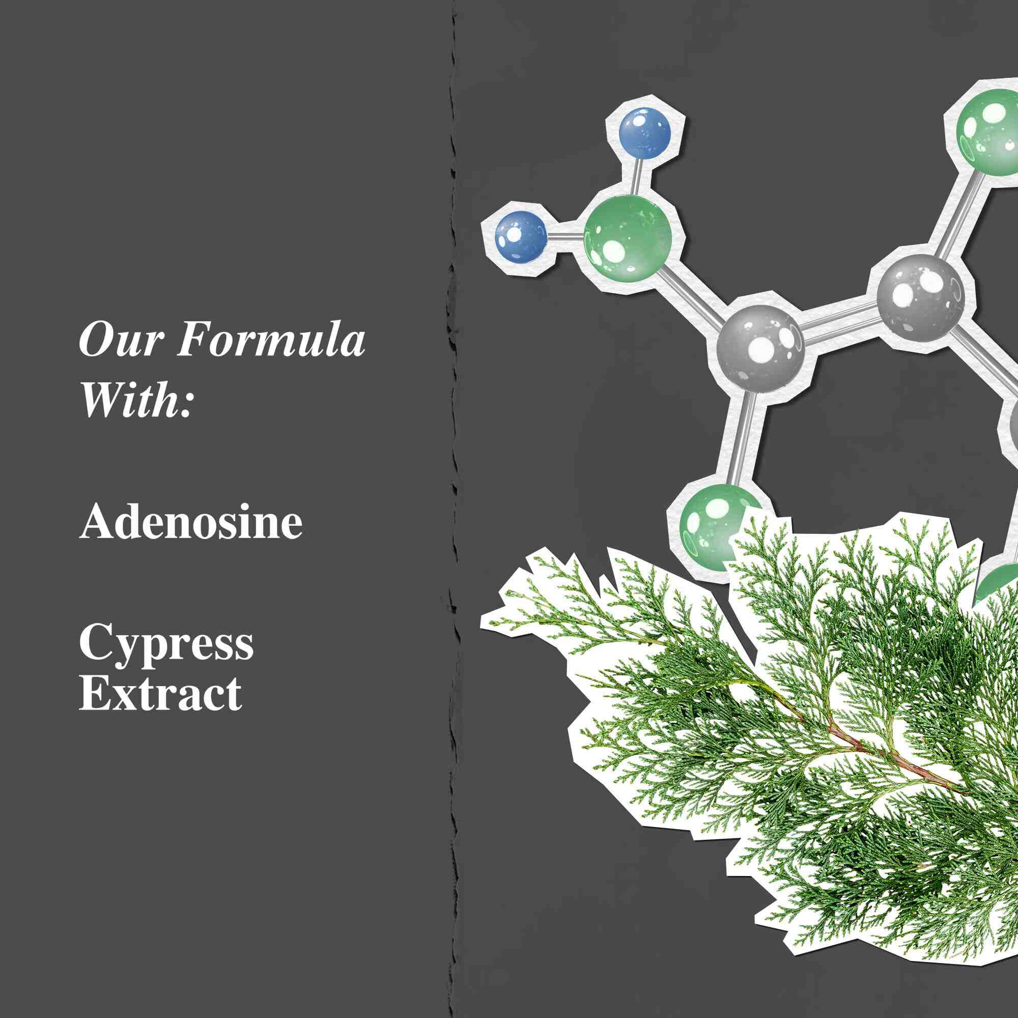 Grafik der Hauptinhaltsstoffe: Adenosin und Zypressenextrakt.