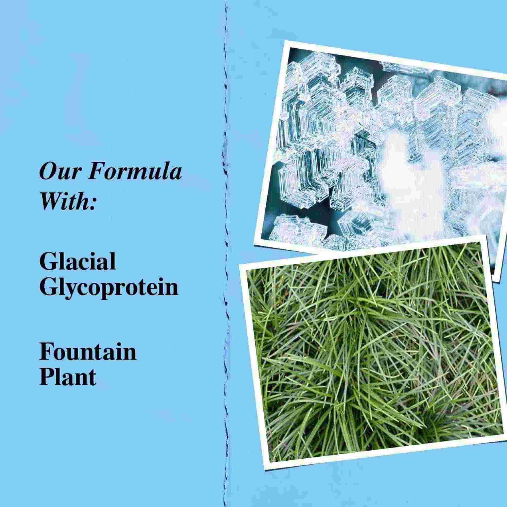 Grafik der Hauptinhaltsstoffe: Glaziales Glykoprotein und Schlangenbart (Fountain Plant).