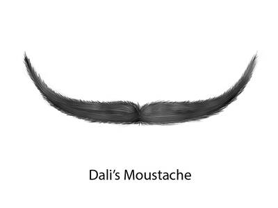 Skizze von Dali‘s Moustache