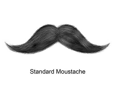 Standard Moustache, English Moustache oder Petite Moustache