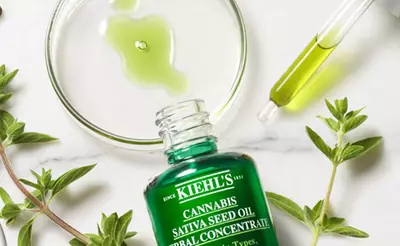 Kiehl's Cannabis Sativa Seed Oil