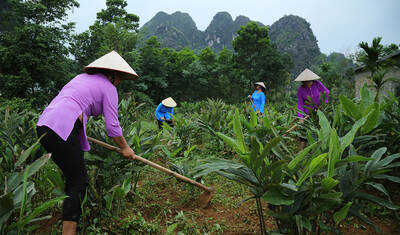 BildCollage aus Bildern von den Grundern von Kiehl's