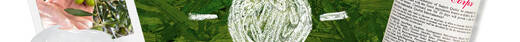 Sustainable Sourcing mit Kiehls Produkten