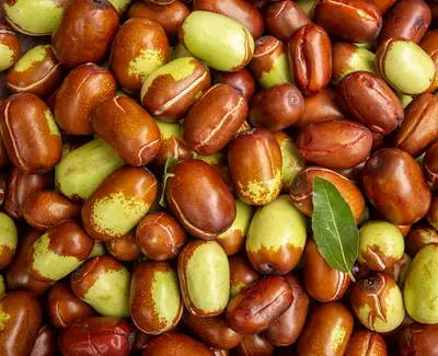 A close-up of a variety of jujube fruits, showcasing their reddish-brown and green colors, scattered together with a single green leaf among them.