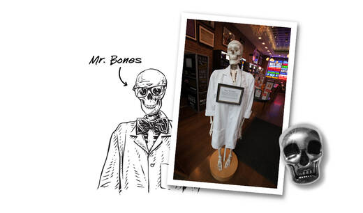 ein lebensgroßes Skelett Mr. Bones