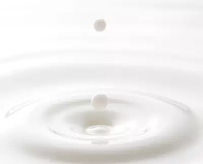 MANDELMILCH Kiehl's Inhaltsstoffe