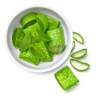 Aloe Vera Blattstuckchen