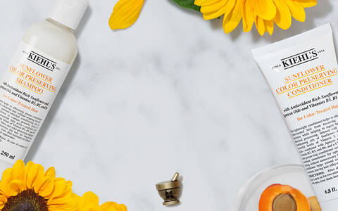 banner mit Sunflower-Produkten im Hintergrund