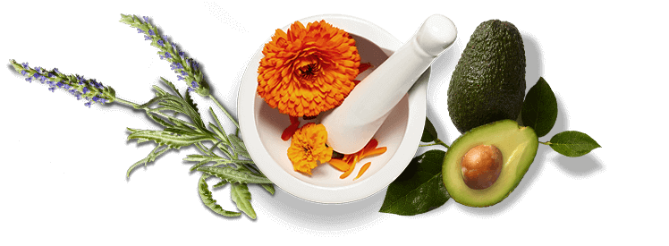 Die Inhaltsstoffe der Pflefeprodukte von Kiehl's